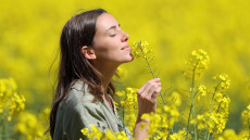 Ποιοι καπνίζουν λιγότερο και πίνουν ελάχιστο αλκοόλ – Ο παράγοντας που «κόβει» κακές συνήθειες