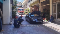 Αναστάτωση στη Λαμία: Οδηγός εντόπισε φίδι στο αυτοκίνητό του - Δείτε βίντεο και φωτογραφίες