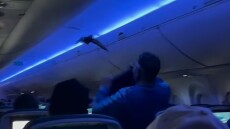 Απίστευτο περιστατικό σε πτήση της Delta: Περιστέρια «επιβιβάστηκαν» στο αεροπλάνο και καθυστέρησαν την απογείωση