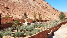 Mονή Σινά: Την προστάτευσε ο Μωάμεθ, την τελειώνει το αιγυπτιακό κράτος με τον διακανονισμό που δεν τηρήθηκε