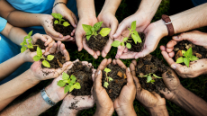 Μια χώρα φυτεύει το μέλλον της: Συνεργασία για δενδροφυτεύσεις σε κάθε γωνιά της Ελλάδας

