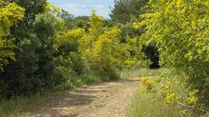 Βρέθηκε το τζιπ με το οποίο διέφυγαν οι Τούρκοι αφότου πυροβόλησαν το κλιμάκιο της ΕΥΠ