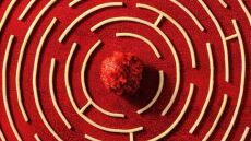 World Food Photography Awards: Βραβεύτηκε ο φωτογράφος και food stylist Κώστας Μίλλας