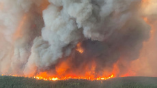 Καπνός από τις δασικές πυρκαγιές στον Καναδά έφτασε πάνω από την Ελλάδα, λέει το Copernicus