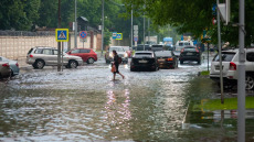 Τι πυροδοτεί τα κρούσματα λεπτοσπείρωσης στην Ελλάδα – Ο ΕΟΔΥ εξηγεί