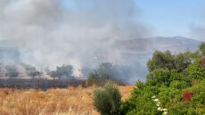 Υπό μερικό έλεγχο η φωτιά στα Μέγαρα 