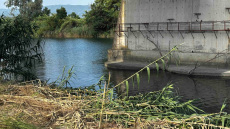 Στο νερό για τουλάχιστον 20' έμειναν τα παιδιά που ανασύρθηκαν από τον Άραχθο
