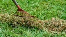 Ακαθάριστα οικόπεδα: Τέλος χρόνου για την υποβολή δηλώσεων