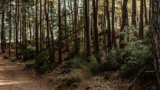 JTI: Στρατηγική επένδυση στη βιωσιμότητα και την ανθεκτικότητα