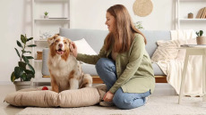 Έχετε κατοικίδιο; Δείτε τι αλλάζει στο ανοσοποιητικό σας
