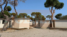 Εισαγγελική παρέμβαση μετά την αποκάλυψη του protothema.gr για bungalows που ξεφύτρωσαν «εν μία νυκτί» εντός του εθνικού πάρκου του Σχινιά