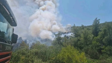 Από καρακάξα σε καλώδια ρεύματος ξεκίνησε η μεγάλη φωτιά στο Άνω Σούλι Μαραθώνα