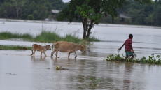 Ινδία: Τουλάχιστον 27 νεκροί από τις καταρρακτώδεις βροχές των μουσώνων