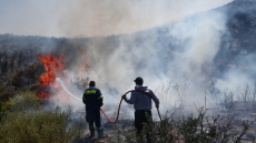 Πενήντα  πυρκαγιές εκδηλώθηκαν το τελευταίο 24ωρο σε όλη τη χώρα