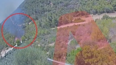 
Δείτε βίντεο με το βραχυκύκλωμα που προκάλεσε καρακάξα και ξεκίνησε η φωτιά στο Άνω Σούλι Μαραθώνα