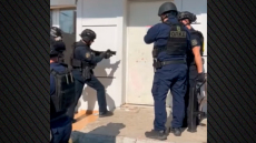 Αστυνομική επιχείρηση στα Άνω Λιόσια, 17 συλλήψεις για παράνομες δραστηριότητες
