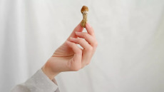 Ποια χώρα εγκρίνει τη φαρμακευτική χρήση «μαγικών μανιταριών» για την κατάθλιψη