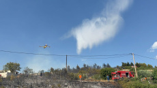 Σε ύφεση η φωτιά στην Ευκαρπία Θεσσαλονίκης - Δείτε βίντεο και φωτογραφίες