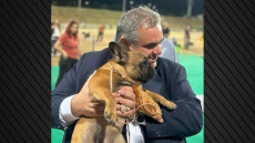 Βασίλης Σπανάκης: Ξεπερνά τα 73 εκατ. ευρώ η ενίσχυση των Δήμων για την εφαρμογή σύγχρονης φιλοζωικής πολιτικής