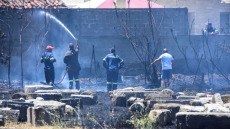 Άργος: Αντιμετωπίστηκε άμεσα η φωτιά στην περιοχή της Αρχαίας Αγοράς