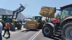 Μπλόκο αγροτών και κτηνοτρόφων στο Ριζόμυλο για την ευλογιά - «Δεν μπορούμε να την παλέψουμε»