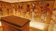 Τοξικός μύκητας που συνδέεται με την «κατάρα των Φαραώ» μετατρέπεται σε φάρμακο κατά της λευχαιμίας