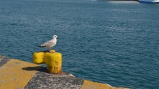 8 στάσεις για φαγητό στο λιμάνι του Πειραιά, πριν σαλπάρει το πλοίο