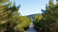 Απαγόρευση κυκλοφορίας σε περιοχές της Κασσάνδρας το Σάββατο λόγω του κινδύνου πυρκαγιάς