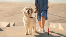 Ένα φωτεινό παράδειγμα συμπερίληψης για τα άτομα με προβλήματα όρασης