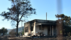 Κάηκαν σπίτια στην Παλαιά Φώκαια - Η επόμενη μέρα μετά τη μεγάλη πυρκαγιά, δείτε βίντεο και φωτογραφίες
