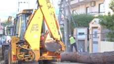 Δέντρο έπεσε σε αυτοκίνητο στην Κηφισιά - Ζημιές και σε μάντρα
