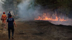 Πάνω από 50.000 απομακρύνθηκαν από τα σπίτια τους εξαιτίας των πυρκαγιών στην Τουρκία - Σε Σμύρνη, Μανίσα και Χατάι τα πύρινα μέτωπα