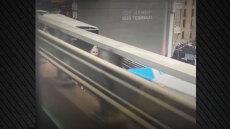 Σύγκρουση λεωφορείων στη Νέα Υόρκη - 14 τραυματίες