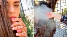 Οργή για 24χρονη Ρωσίδα μποξέρ που έδωσε ηλεκτρονικό τσιγάρο σε ουρακοτάγκο - «Η γενιά των ανόητων»
