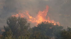 Πολύ υψηλός κίνδυνος πυρκαγιάς αύριο σε Αττική και στις περιφέρειες Πελοποννήσου, Θεσσαλίας, Στερεάς Ελλάδας, Δυτικής Ελλάδας