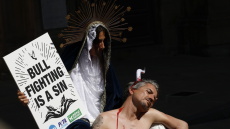 Ημίγυμνοι ακτιβιστές διαμαρτυρήθηκαν κατά των ταυρομαχιών ενόψει του φεστιβάλ Σαν Φερμίν στην Παμπλόνα - Δείτε φωτογραφίες