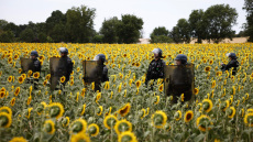 Φωτογραφίες: Αστυνομικοί ακροβολισμένοι σε εκτάσεις με ηλιοτρόπια στη Γαλλία υπό τον φόβο επεισοδίων για την κατασκευή αυτοκινητόδρομου