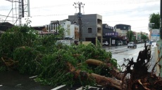 Δύο νεκροί και εκατοντάδες τραυματίες στην Ταϊβάν από την καταιγίδα Ντάνα - Συναγερμός και στην Κίνα 