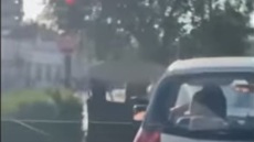 Άγριο ξύλο σε φανάρι κεντρικού δρόμου των Τρικάλων - Δείτε βίντεο