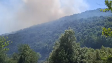 Χωρίς ενεργό μέτωπο η φωτιά στο Θέρμο Αιτωλοακαρνανίας - Δείτε βίντεο