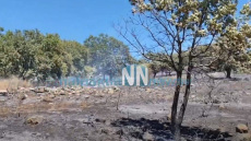 Υπό μερικό έλεγχο η φωτιά σε δασική έκταση στις Οινιάδες Μεσολογγίου