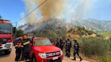 Καλύτερη η εικόνα της φωτιάς στις Νεραντζιές Αιγίου