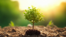Η πράσινη πλευρά της επιχειρηματικότητας - Το αποτύπωμα της Deloitte Ελλάδoς