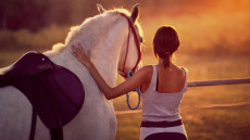 Κάθε ζωή αξίζει! Η συγκλονιστική ιστορία – σύμβολο της αφοσίωσης μεταξύ ανθρώπου και ζώου