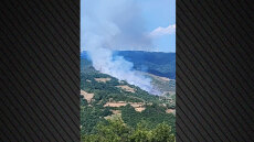 Φωτιά σε δασική έκταση στη Χλόη Ροδόπης - 112 για εκκένωση, ενισχύθηκαν οι πυροσβεστικές δυνάμεις