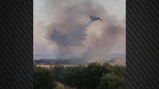 Φωτιά σε κτηνοτροφική μονάδα στο Κιλκίς: Κάηκαν ζώα, κινδύνευσε κτήριο

