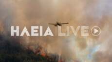 Μάχη με διάσπαρτες εστίες στο Γεράκι Αμαλιάδας στην Ηλεία, συνεχίζει να καίει σε αναγεννημένο δάσος - Μεγάλη κινητοποίηση με 102 πυροσβέστες