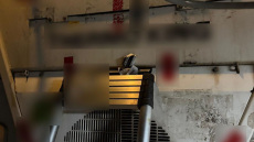 Πειραιάς: Χειροπέδες σε υπαλλήλους εταιρείας του λιμανιού για ναρκωτικά – Προσπάθησαν να μεταφέρουν 34 κιλά κοκαΐνης 

