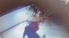 Συμμορία είχε «αδειάσει» πάνω από 35 σπίτια σε Μέγαρα, Ωρωπό, Κορινθία, Αιγιαλεία – Βίντεο ντοκουμέντα με τη δράση της