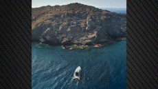 Βίντεο Παπασταύρου για τα Θαλάσσια Πάρκα: Θα θεσμοθετήσουμε και νέα σε άλλες περιοχές του Αιγαίου